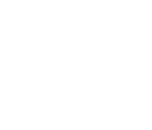 Blank white image with no visible content.