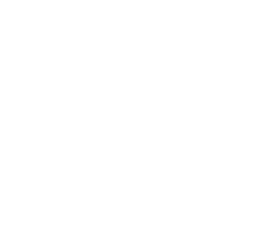 Blank white image with no visible content.